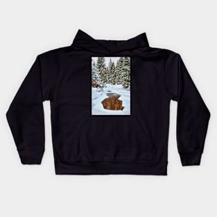 Mountain river in the winter Kids Hoodie